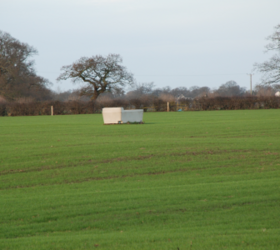 Permanent Pasture (with PUNA II Chicory) Grass Seed Mixture