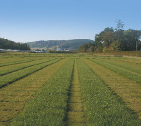 Bio Pasture