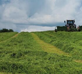 AD Short Term Grass Seed Mixture