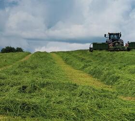 Arable Silage Seed Mix 3