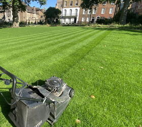 FS Quality Hard Wearing Lawn Seed