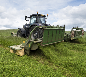 Aber High Sugar Grass Seed - Medium Term Silage (with White Clover)