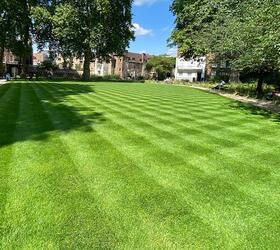 FS Quality Hard Wearing Lawn Seed