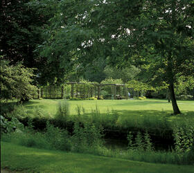 FS Shady Place Grass Seed