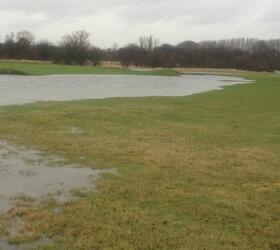 FS Waterlogged and Wet Soils Grass Seed