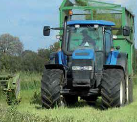 Winter Graze