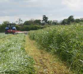 FS Italian Ryegrass Seed Blend - 1-2 Year Ley Mix