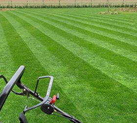 FS Premier Lawn Grass Seed