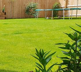 FS Quality Hard Wearing Lawn Seed