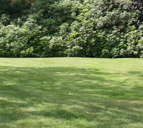 FS Shady Place Grass Seed