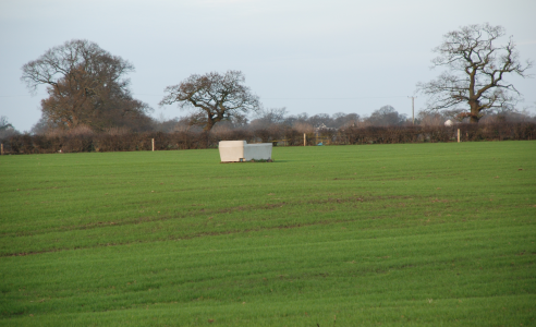 Permanent Pasture (with PUNA II Chicory) Grass Seed Mixture