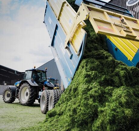 Arable Silage Seed Mix 2