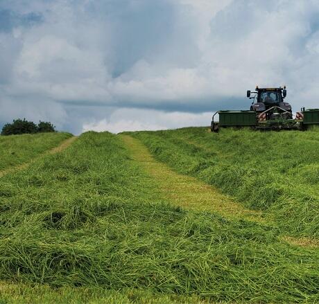 Arable Silage Seed Mix 3