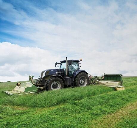 Aber High Sugar Grass Seed - Long Term Multi Cut Silage (without Clover)