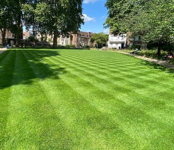 FS Quality Hard Wearing Lawn Seed