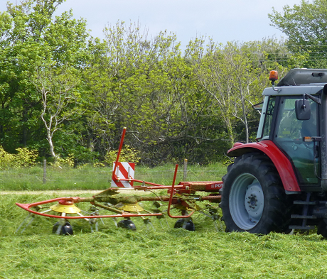 FS Cutter - 2-3 Year Ley Grass Seed Mixture