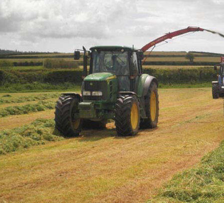 FS Cut and Graze - 3-5 Year Ley Mixture (without Clover) Grass Seed Mixture